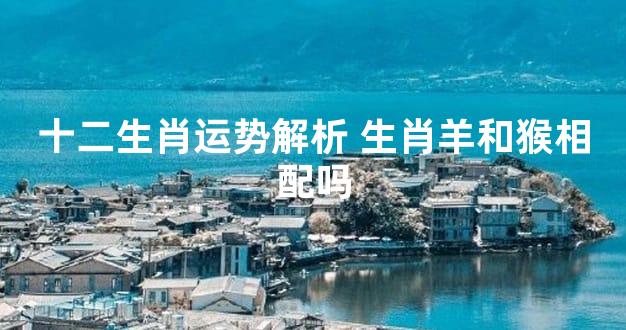 十二生肖运势解析 生肖羊和猴相配吗